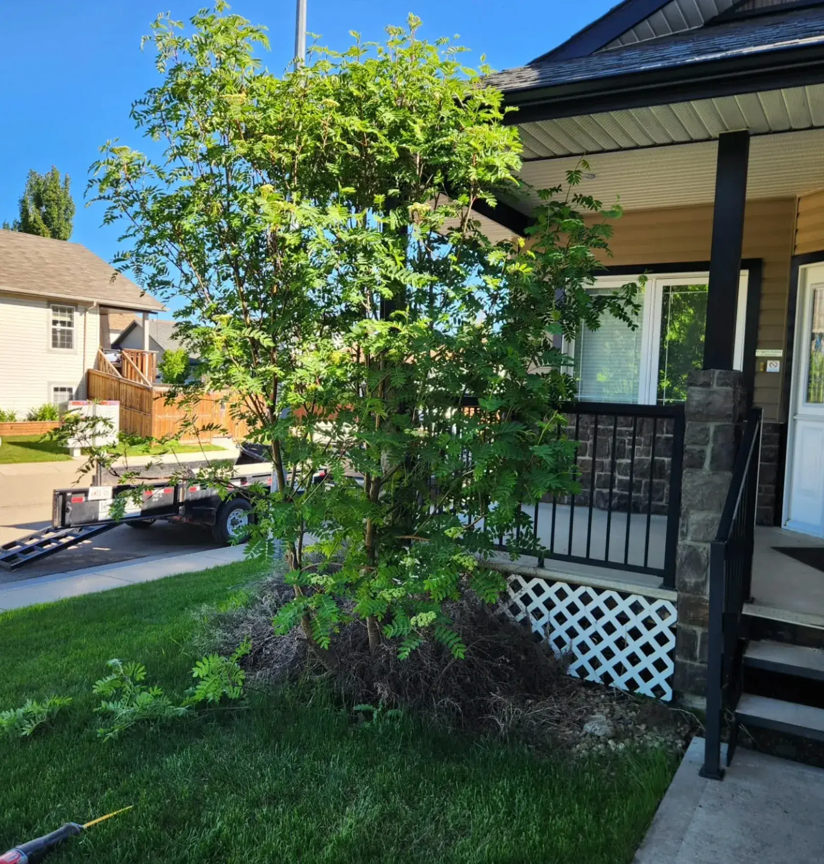 Curved Garden Bed Design - Before renovation by Epic Landscape Services in Red Deer